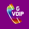 Google Voice